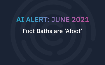 June 2021 AI Alert