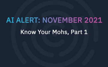 November 2021 AI Alert