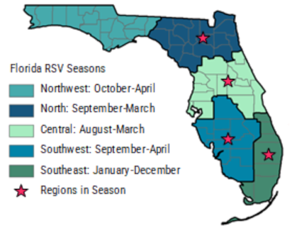 Florida RSV season and sub-regions 
