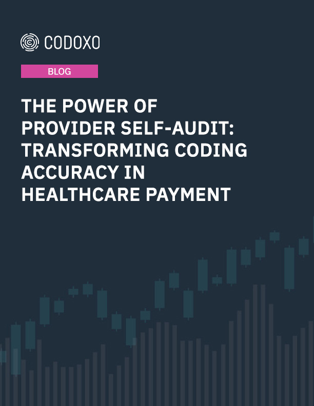The Power of Provider Self-Audit Blog